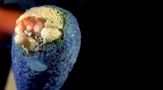 Εκπληκτικό βίντεο: Σε 4.000 καρέ η καύση ενός σπίρτου!